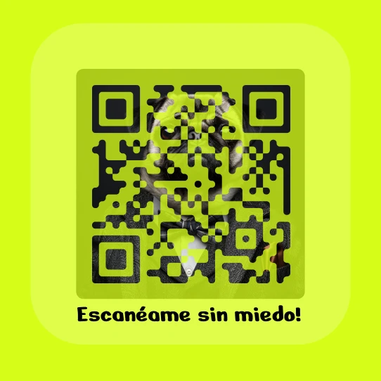 Códigos QR